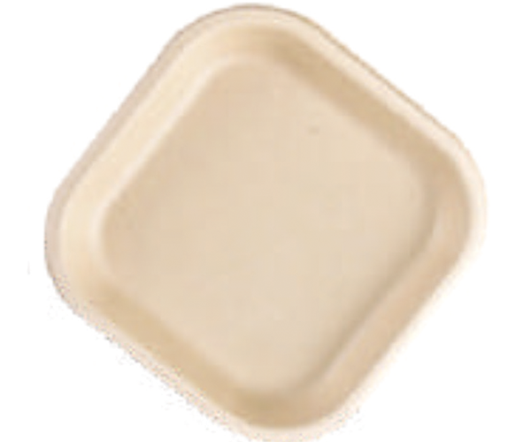 Baggase tray