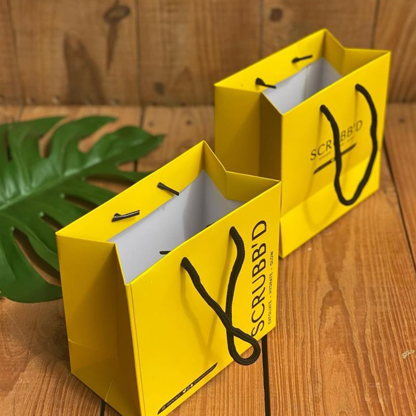 paper bag7